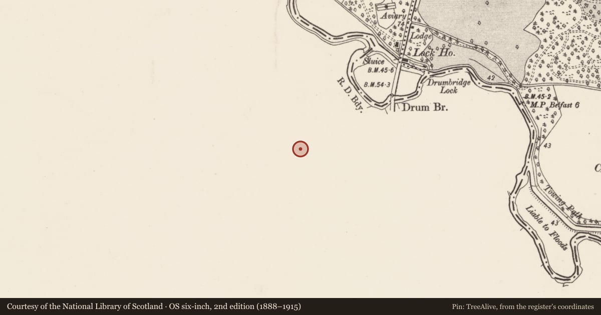 Ordnance Survey six-inch map, 2nd edition (1888–1915) covering the location of 145-147 Ballyskeagh Road, Drumbeg, Lisburn and Castlereagh, with a pin at the register's coordinates