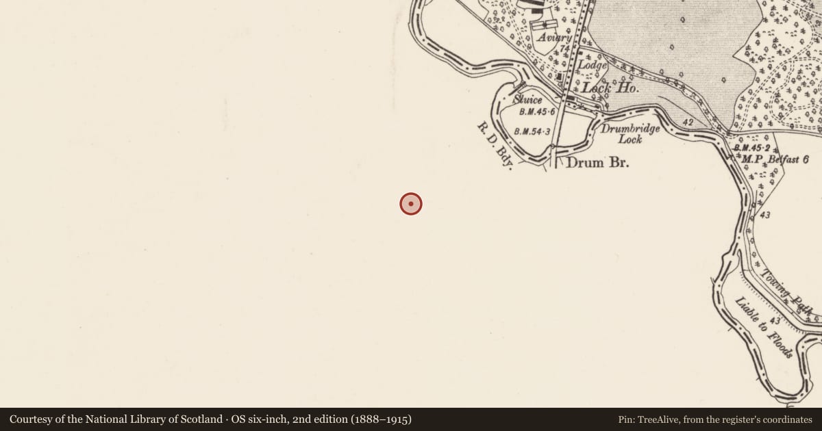 Ordnance Survey six-inch map, 2nd edition (1888–1915) covering the location of Charley Memorial Primary School, Drumbeg, Lisburn and Castlereagh, with a pin at the register's coordinates