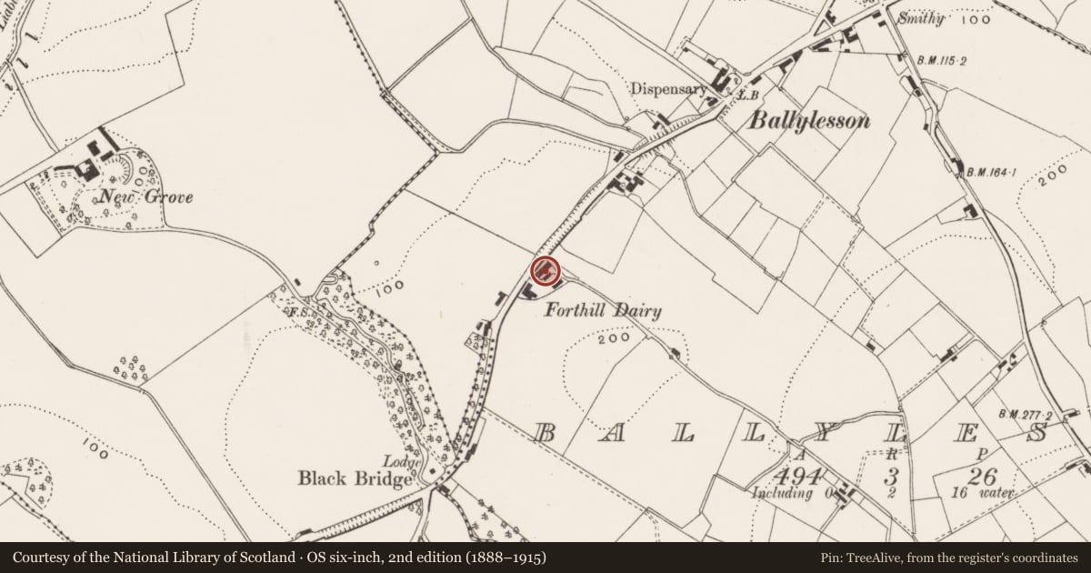 Ordnance Survey six-inch map, 2nd edition (1888–1915) covering the location of 160 Ballylesson Road, Lisburn and Castlereagh, with a pin at the register's coordinates