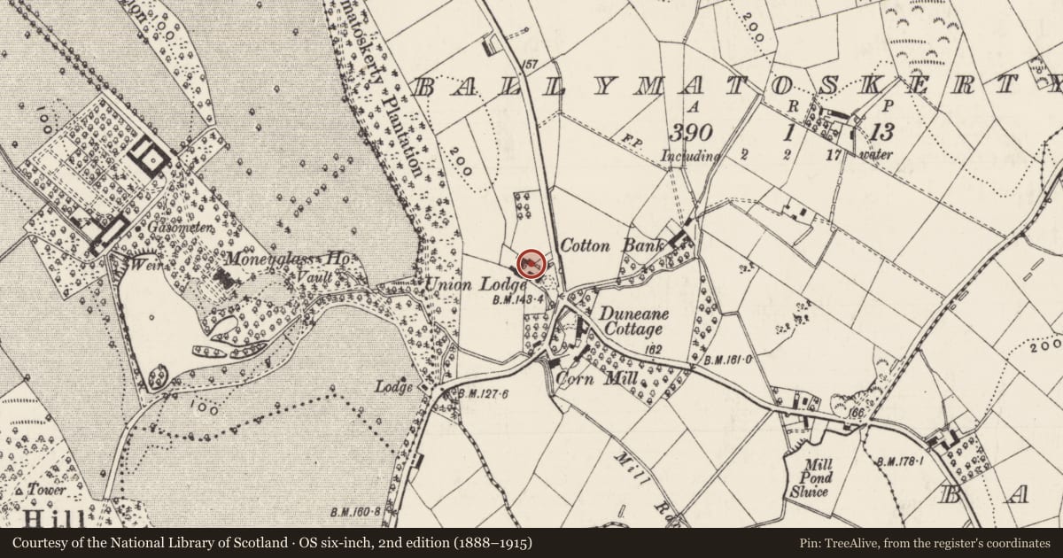 Ordnance Survey six-inch map, 2nd edition (1888–1915) covering the location of Union Lodge, Ballymatoskerty, Antrim and Newtownabbey, with a pin at the register's coordinates