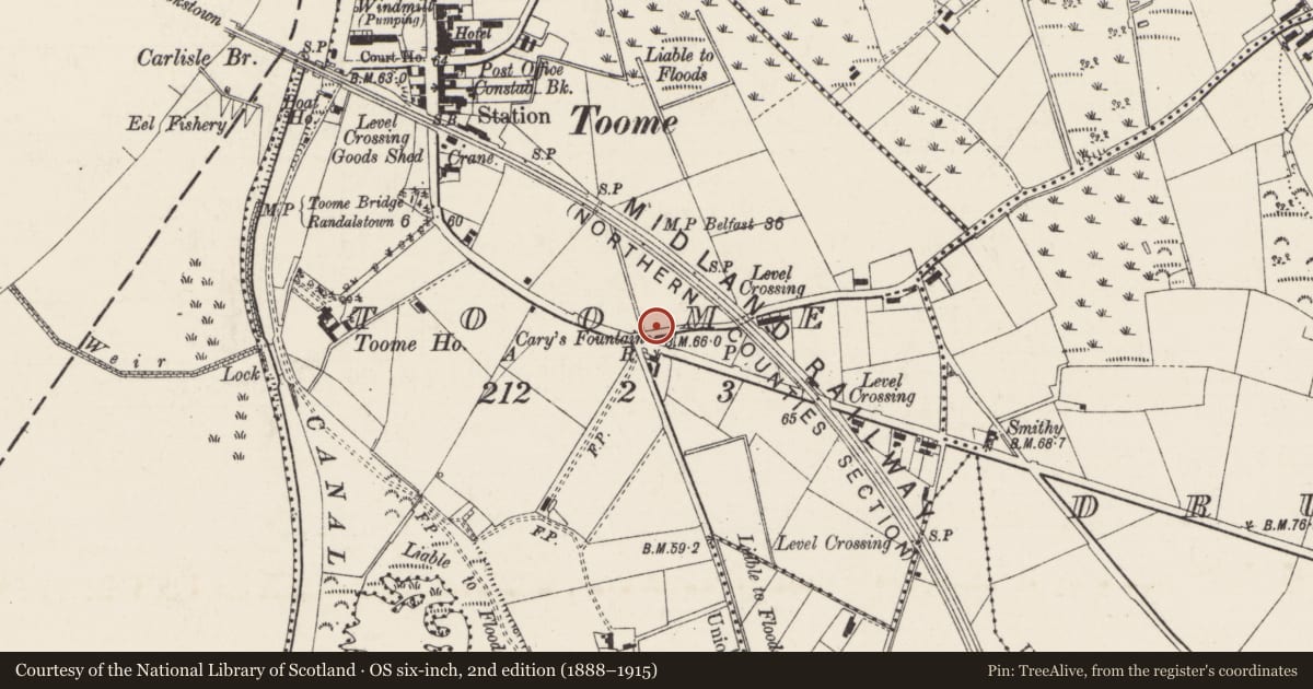 Ordnance Survey six-inch map, 2nd edition (1888–1915) covering the location of Careys Fountain, Toome, Antrim and Newtownabbey, with a pin at the register's coordinates