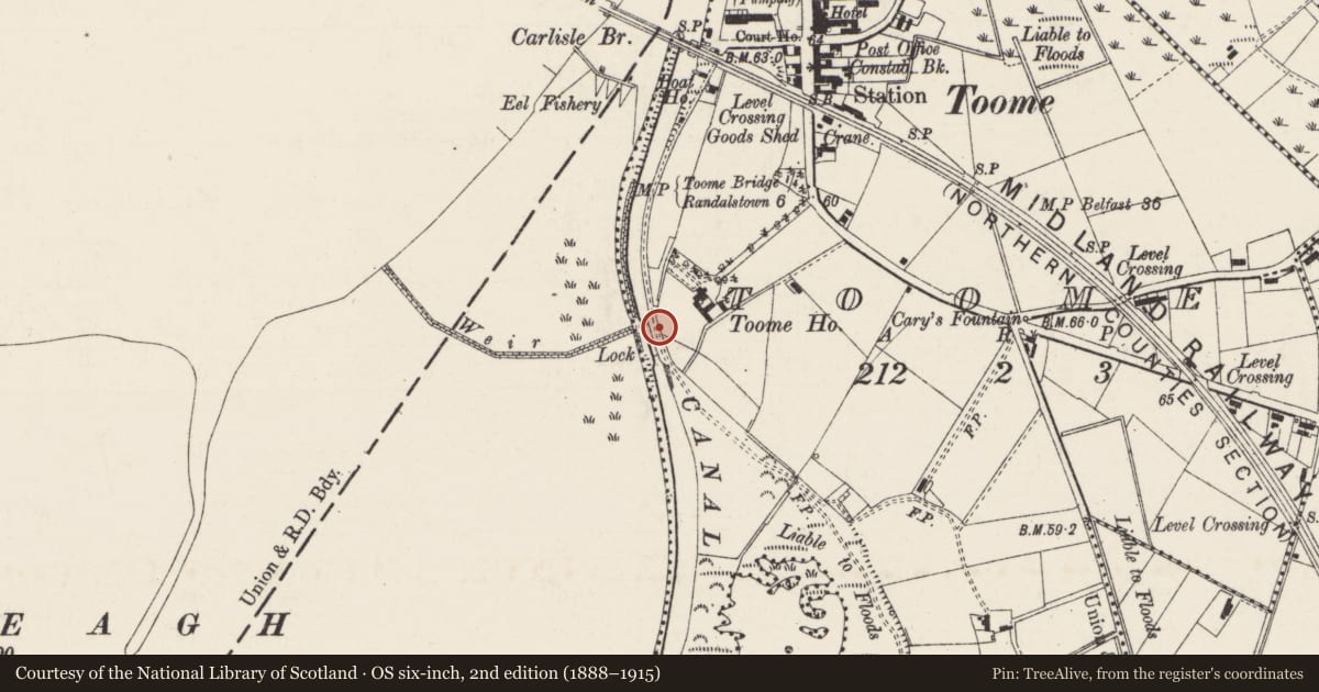 Ordnance Survey six-inch map, 2nd edition (1888–1915) covering the location of Toomebridge Lock, Antrim and Newtownabbey, with a pin at the register's coordinates