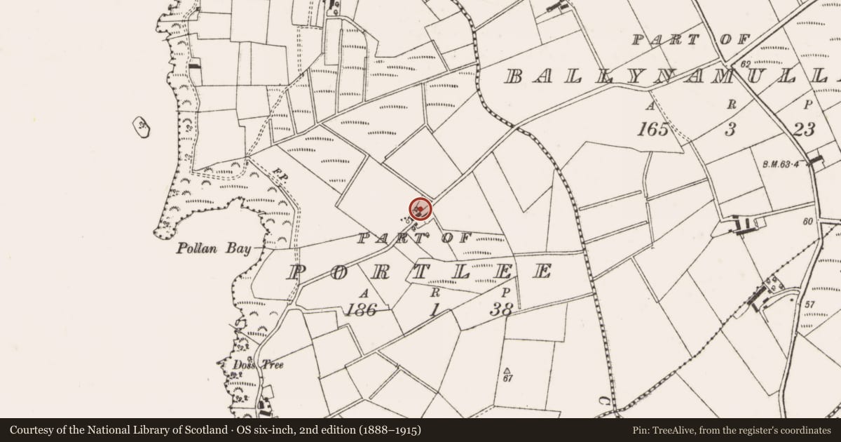 Ordnance Survey six-inch map, 2nd edition (1888–1915) covering the location of 59 Cargin Road, Toome, Antrim and Newtownabbey, with a pin at the register's coordinates