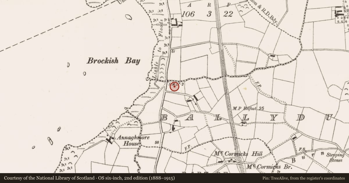 Ordnance Survey six-inch map, 2nd edition (1888–1915) covering the location of Bayview, Ballydugennan, Antrim and Newtownabbey, with a pin at the register's coordinates