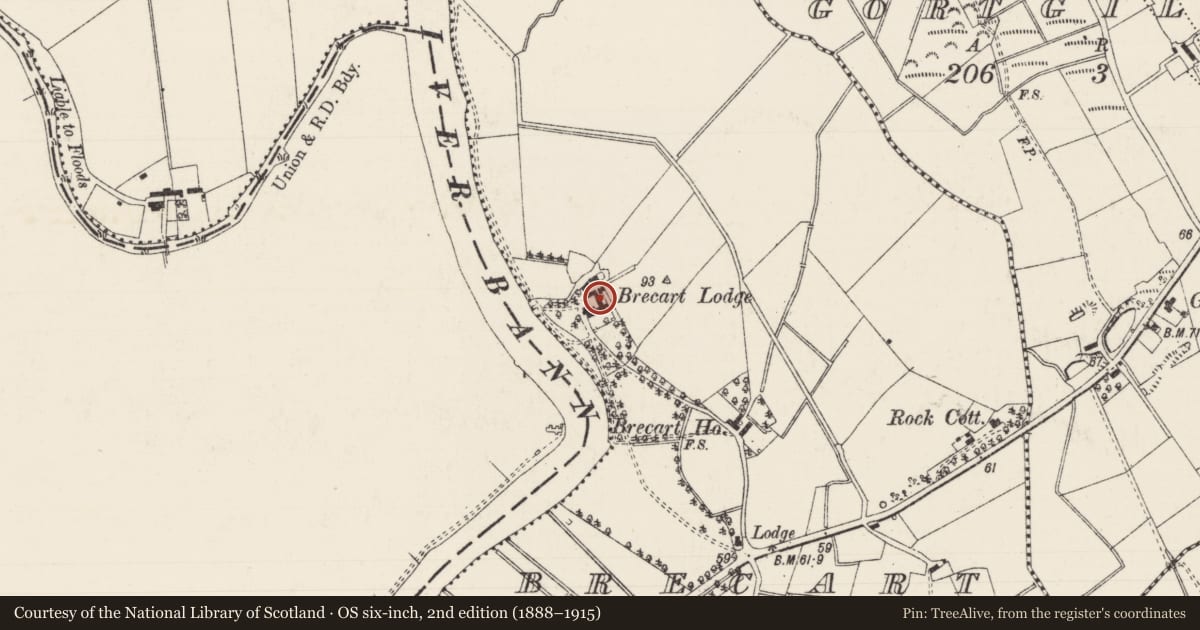 Ordnance Survey six-inch map, 2nd edition (1888–1915) covering the location of Brecart Lodge, Brecart (Main Portion), Antrim and Newtownabbey, with a pin at the register's coordinates
