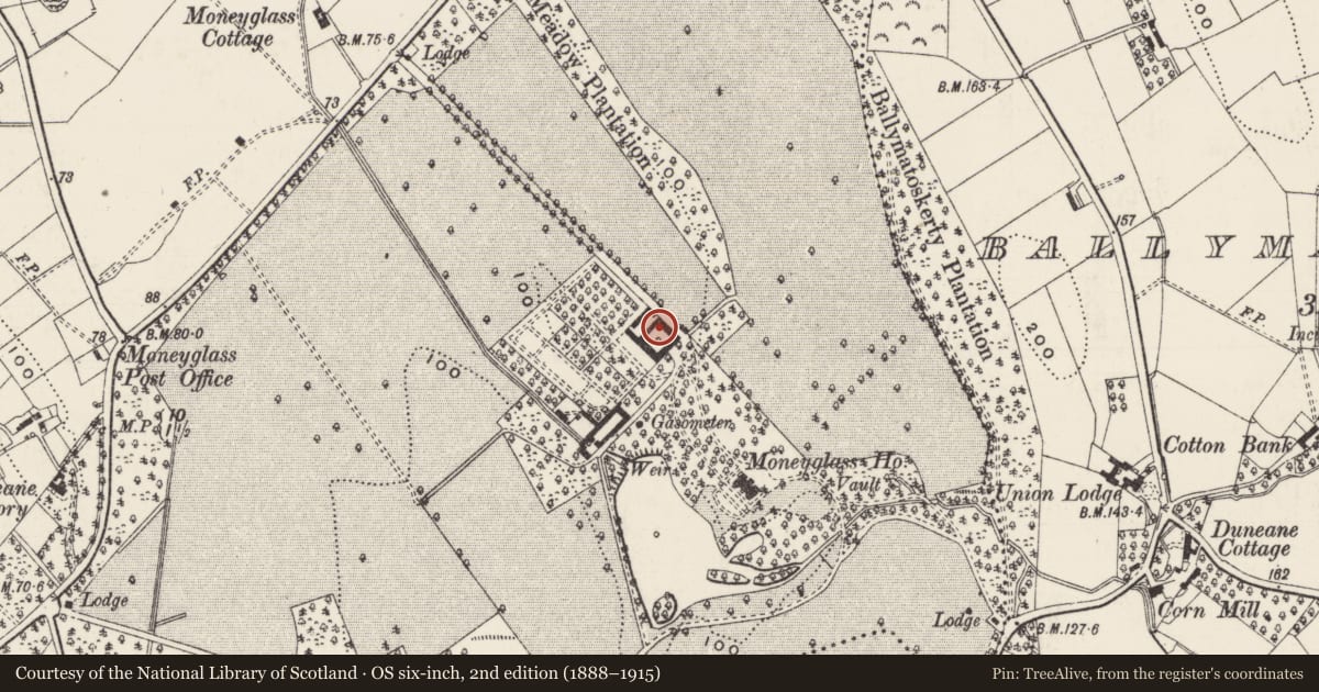 Ordnance Survey six-inch map, 2nd edition (1888–1915) covering the location of Stable yard, Moneyglass, Antrim and Newtownabbey, with a pin at the register's coordinates