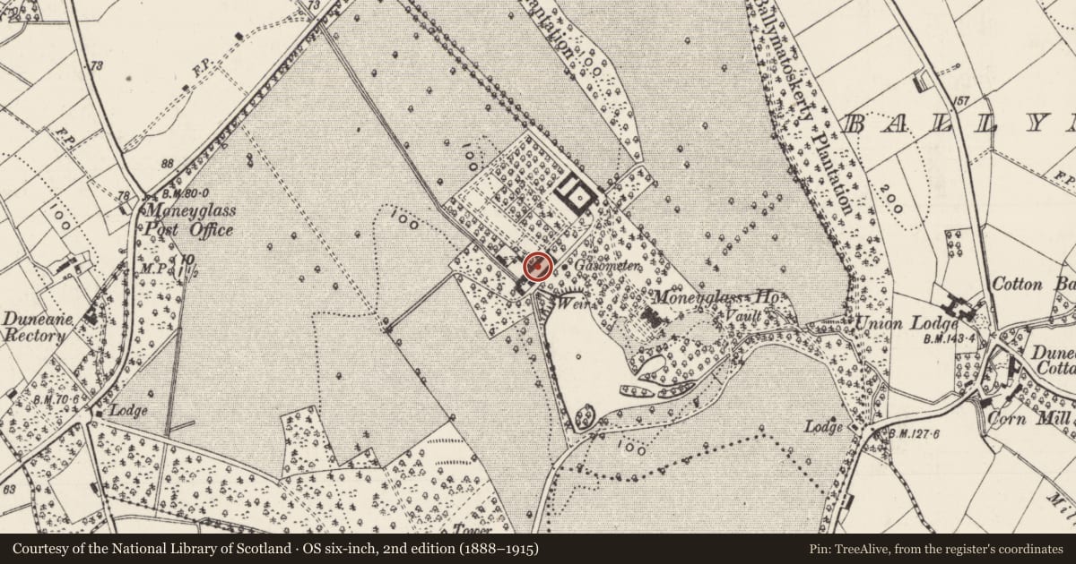 Ordnance Survey six-inch map, 2nd edition (1888–1915) covering the location of Farm Yard, Moneyglass, Antrim and Newtownabbey, with a pin at the register's coordinates