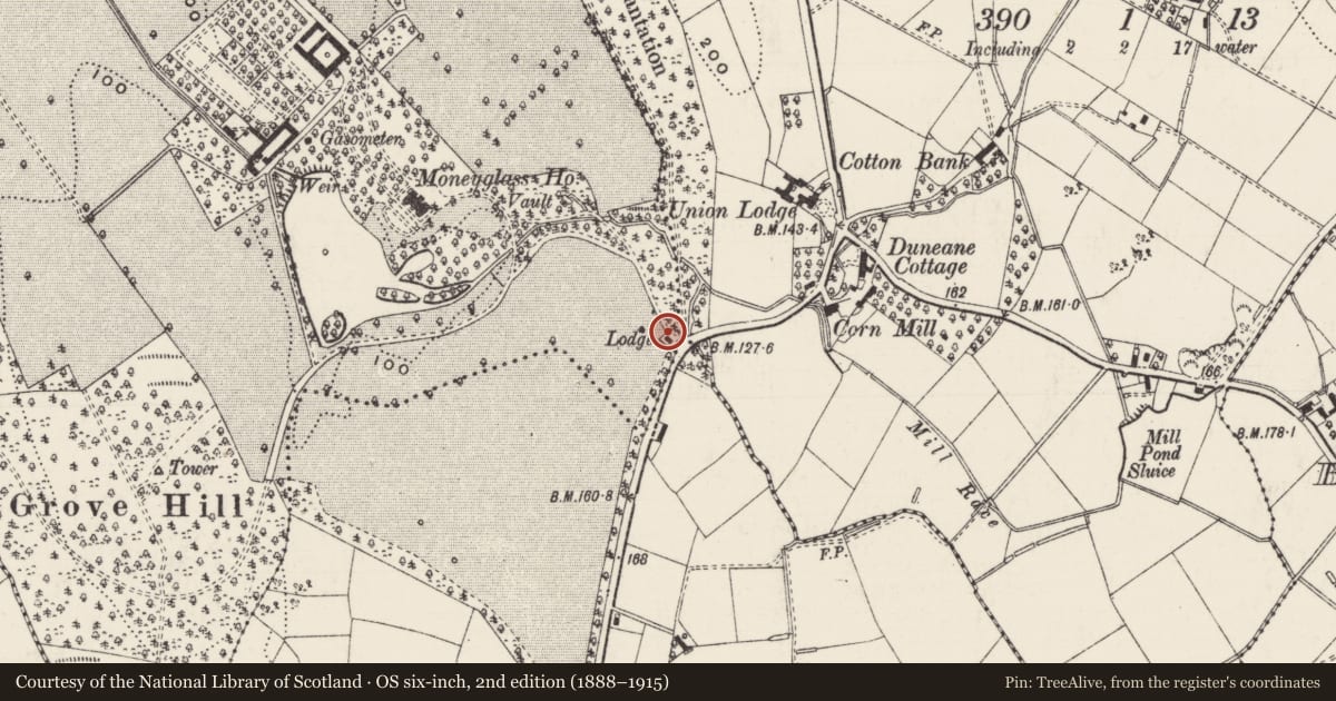 Ordnance Survey six-inch map, 2nd edition (1888–1915) covering the location of Lodge, Moneyglass, Antrim and Newtownabbey, with a pin at the register's coordinates