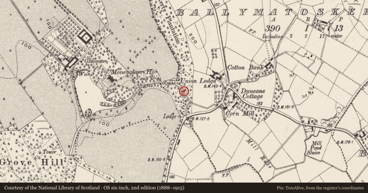 Ordnance Survey six-inch map, 2nd edition (1888–1915) covering the location of Walled Gardens, Moneyglass, Antrim and Newtownabbey, with a pin at the register's coordinates