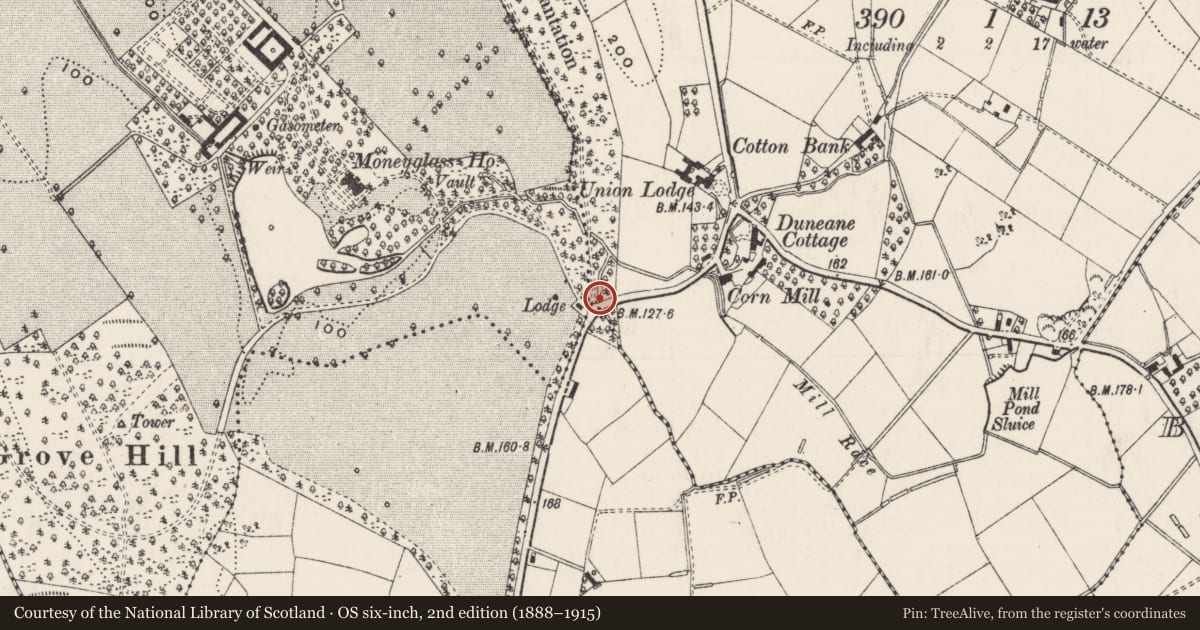 Ordnance Survey six-inch map, 2nd edition (1888–1915) covering the location of Bridges, Moneyglass, Antrim and Newtownabbey, with a pin at the register's coordinates