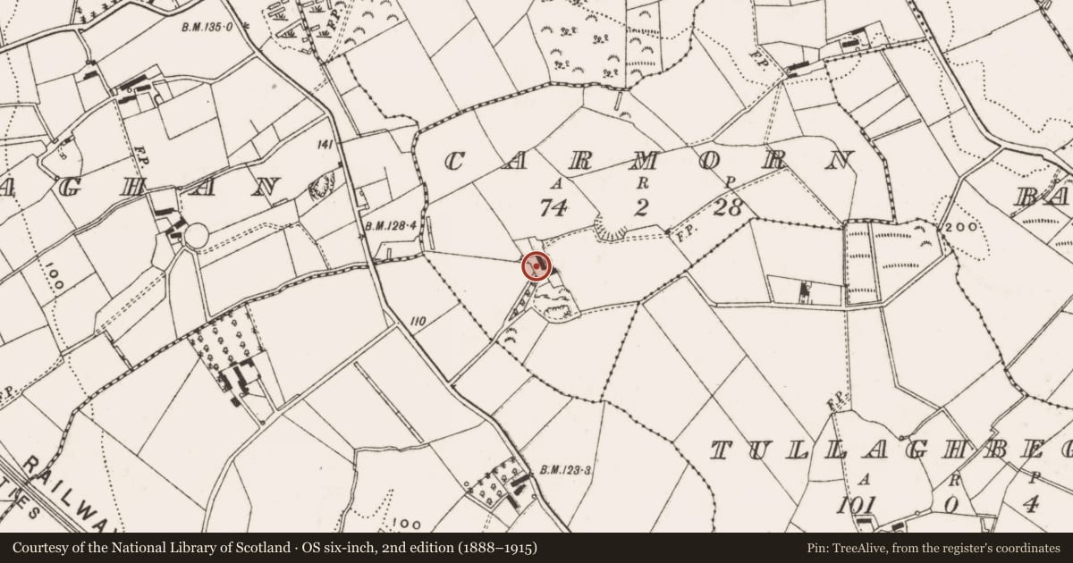Ordnance Survey six-inch map, 2nd edition (1888–1915) covering the location of Rockmount, Carmorn, Antrim and Newtownabbey, with a pin at the register's coordinates