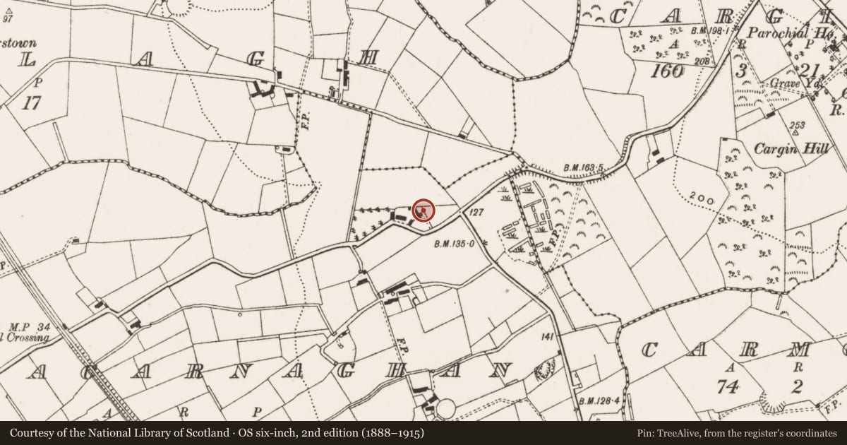 Ordnance Survey six-inch map, 2nd edition (1888–1915) covering the location of 29 Cargin Road, Aghacarnaghan, Antrim and Newtownabbey, with a pin at the register's coordinates