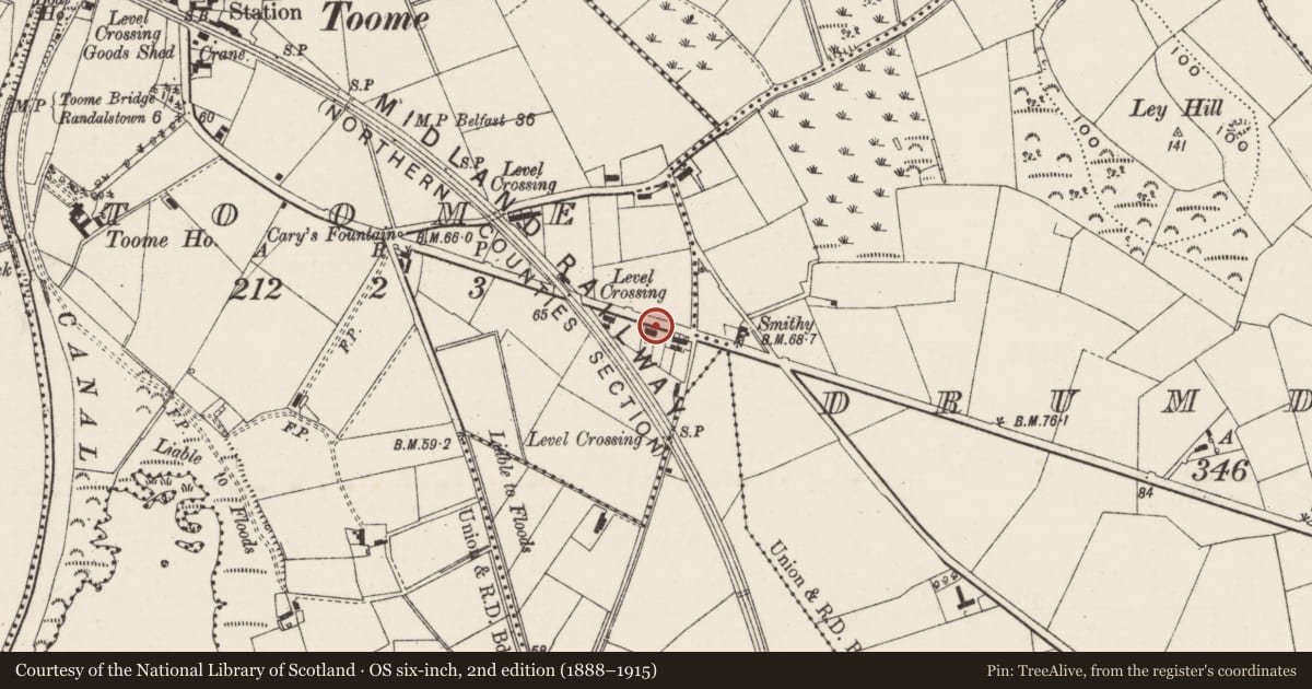 Ordnance Survey six-inch map, 2nd edition (1888–1915) covering the location of 241 Moneynick Road, Toome, Antrim and Newtownabbey, with a pin at the register's coordinates