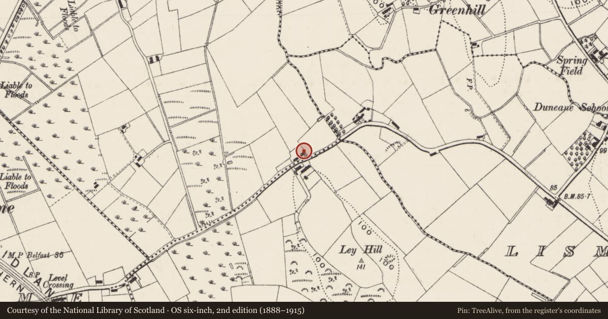Ordnance Survey six-inch map, 2nd edition (1888–1915) covering the location of 36 Gloverstown Road, Brecart (Main Portion), Antrim and Newtownabbey, with a pin at the register's coordinates