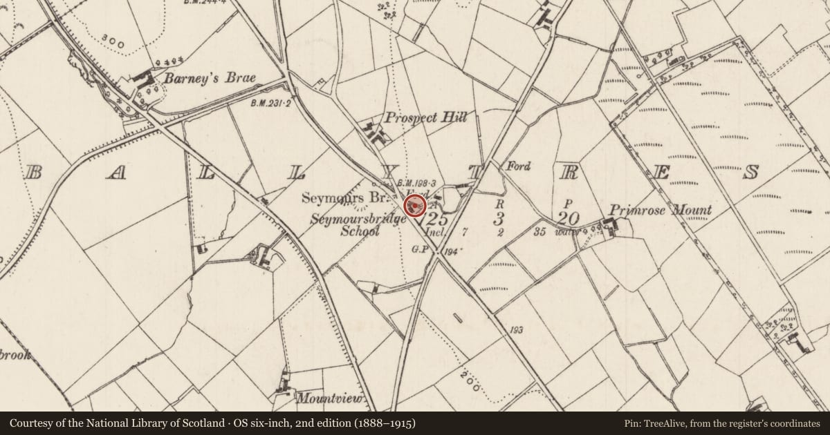 Ordnance Survey six-inch map, 2nd edition (1888–1915) covering the location of Seymours Bridge School, Ballytresna, Antrim and Newtownabbey, with a pin at the register's coordinates