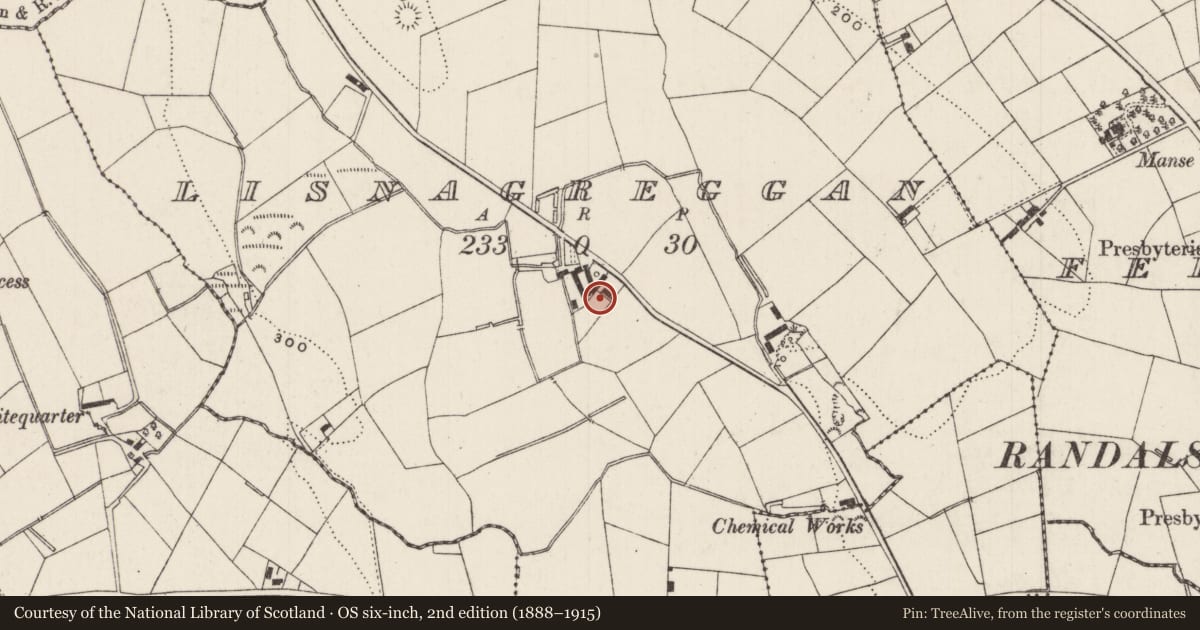 Ordnance Survey six-inch map, 2nd edition (1888–1915) covering the location of 24 Tannaghmore Road, Lisnagreggan, Antrim and Newtownabbey, with a pin at the register's coordinates