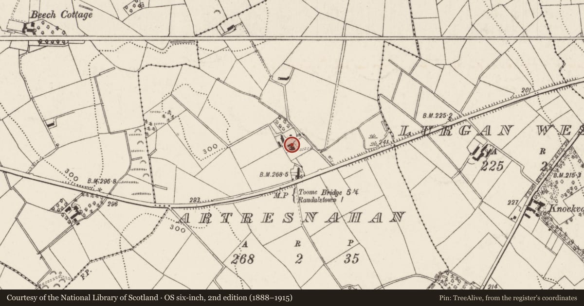 Ordnance Survey six-inch map, 2nd edition (1888–1915) covering the location of 37 Moneynick Road, Artresnahan, Antrim and Newtownabbey, with a pin at the register's coordinates