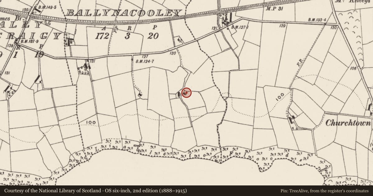 Ordnance Survey six-inch map, 2nd edition (1888–1915) covering the location of Horse walk at 13 Ballynacooley Road, Antrim and Newtownabbey, with a pin at the register's coordinates