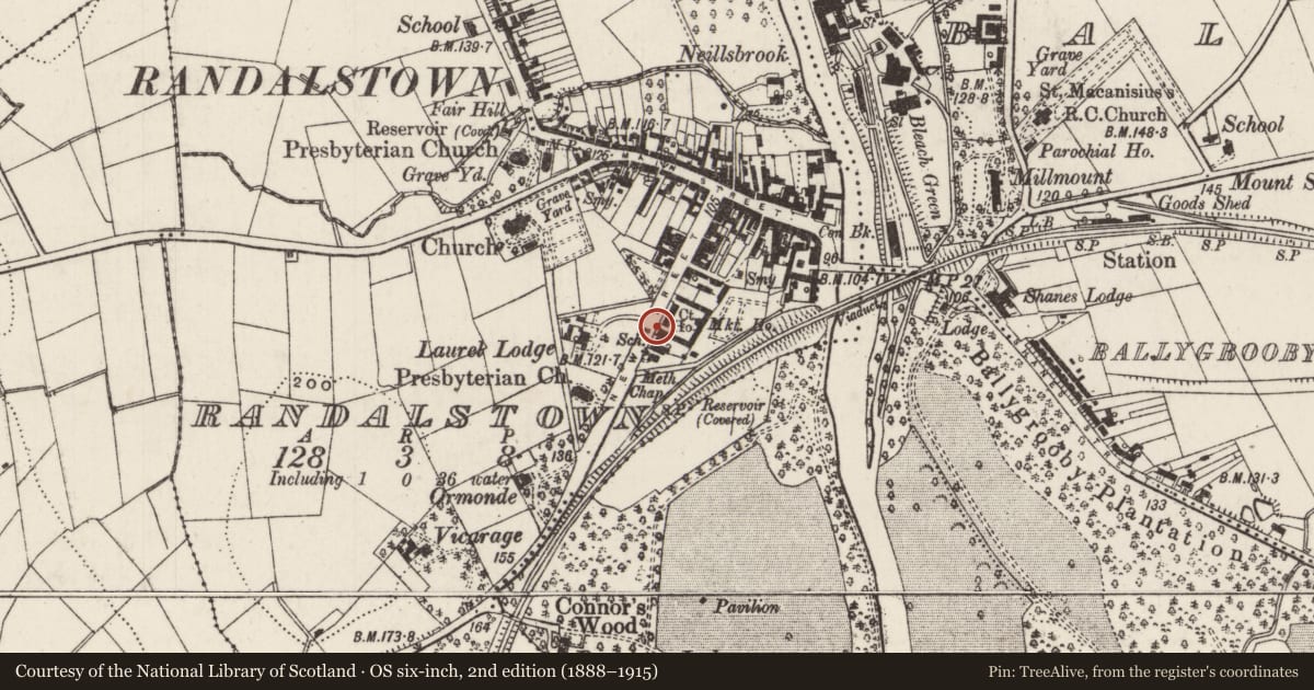Ordnance Survey six-inch map, 2nd edition (1888–1915) covering the location of 38 New Street, Randalstown, Antrim and Newtownabbey, with a pin at the register's coordinates