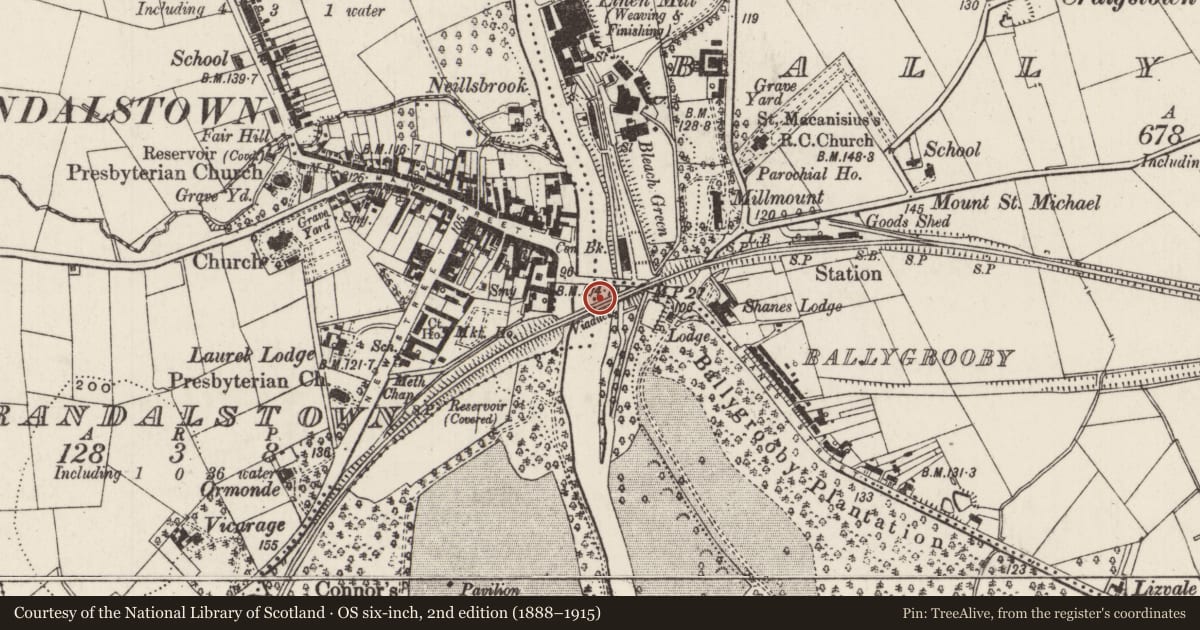 Ordnance Survey six-inch map, 2nd edition (1888–1915) covering the location of Railway Viaduct, Randalstown/Shane's Castle Park, Antrim and Newtownabbey, with a pin at the register's coordinates