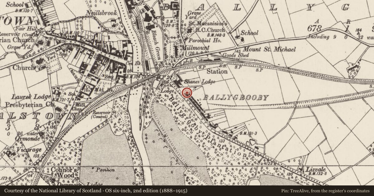 Ordnance Survey six-inch map, 2nd edition (1888–1915) covering the location of 1 Shane's Terrace, Ballygrooby, Antrim and Newtownabbey, with a pin at the register's coordinates