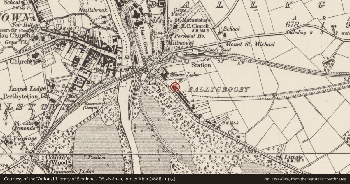 Ordnance Survey six-inch map, 2nd edition (1888–1915) covering the location of 3 Shane's Terrace, Ballygrooby, Antrim and Newtownabbey, with a pin at the register's coordinates