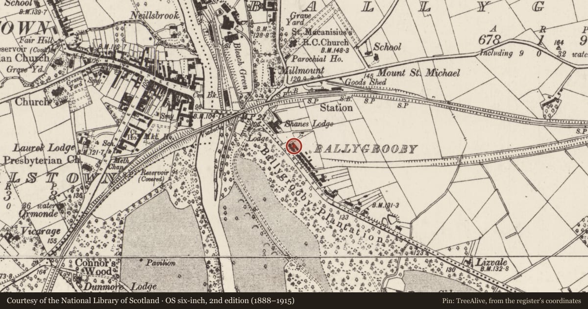 Ordnance Survey six-inch map, 2nd edition (1888–1915) covering the location of 4 Shane's Terrace, Ballygrooby, Antrim and Newtownabbey, with a pin at the register's coordinates