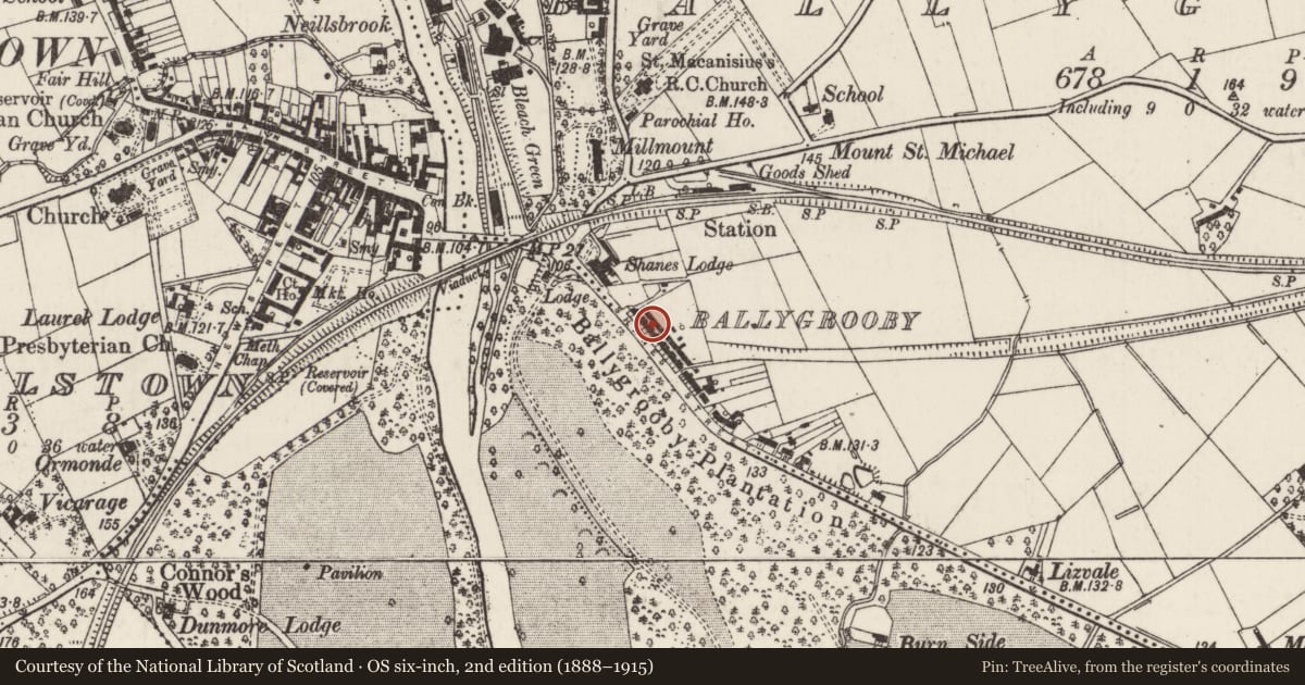 Ordnance Survey six-inch map, 2nd edition (1888–1915) covering the location of 6 Shane's Terrace, Ballygrooby, Antrim and Newtownabbey, with a pin at the register's coordinates