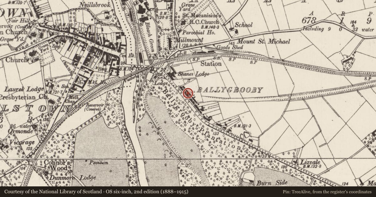 Ordnance Survey six-inch map, 2nd edition (1888–1915) covering the location of 8 Shane's Terrace, Ballygrooby, Antrim and Newtownabbey, with a pin at the register's coordinates