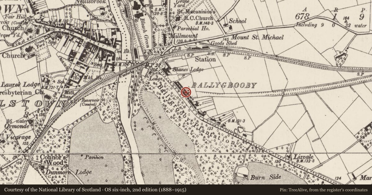 Ordnance Survey six-inch map, 2nd edition (1888–1915) covering the location of 11 Shane's Terrace, Ballygrooby, Antrim and Newtownabbey, with a pin at the register's coordinates