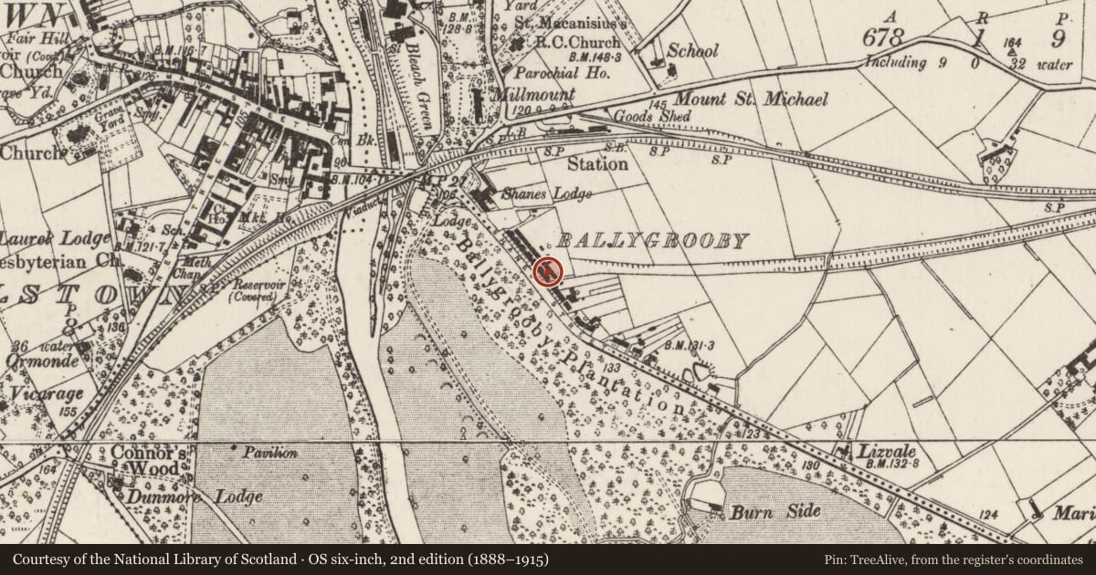 Ordnance Survey six-inch map, 2nd edition (1888–1915) covering the location of 14 Shane's Terrace, Ballygrooby, Antrim and Newtownabbey, with a pin at the register's coordinates
