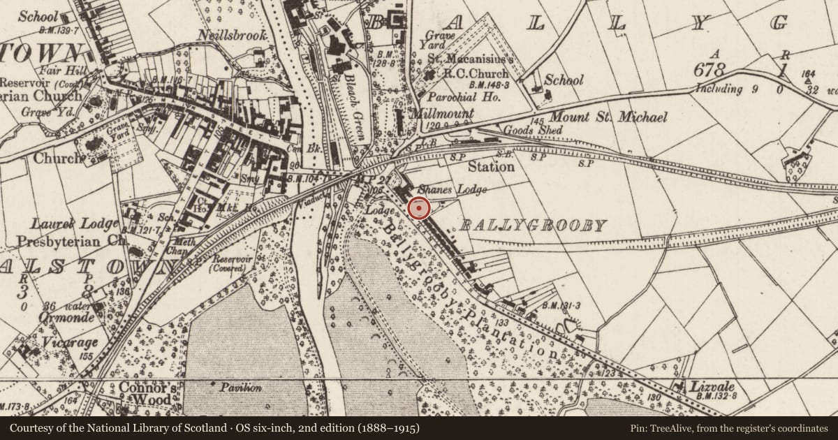 Ordnance Survey six-inch map, 2nd edition (1888–1915) covering the location of 18-20 Shane's Street, Ballygrooby, Antrim and Newtownabbey, with a pin at the register's coordinates