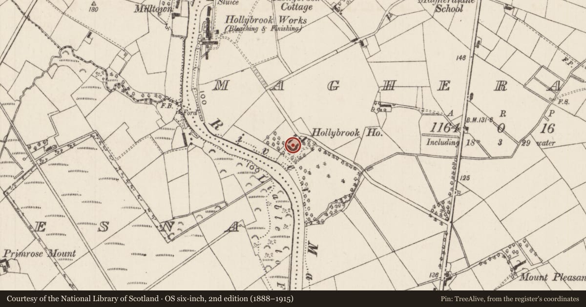 Ordnance Survey six-inch map, 2nd edition (1888–1915) covering the location of Hollybrook House, Magheralane, Antrim and Newtownabbey, with a pin at the register's coordinates