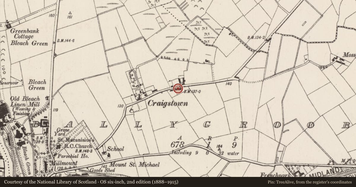 Ordnance Survey six-inch map, 2nd edition (1888–1915) covering the location of Arlyn, Ballygrooby, Antrim and Newtownabbey, with a pin at the register's coordinates