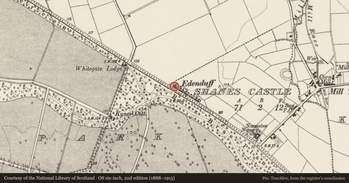 Ordnance Survey six-inch map, 2nd edition (1888–1915) covering the location of 1 & 2 Edenduff Terrace, Shane's Castle, Antrim and Newtownabbey, with a pin at the register's coordinates