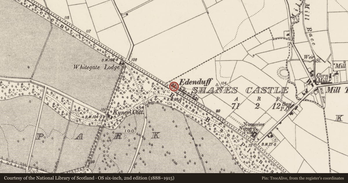 Ordnance Survey six-inch map, 2nd edition (1888–1915) covering the location of 3 & 4 Edenduff Terrace, Shane's Castle, Antrim and Newtownabbey, with a pin at the register's coordinates