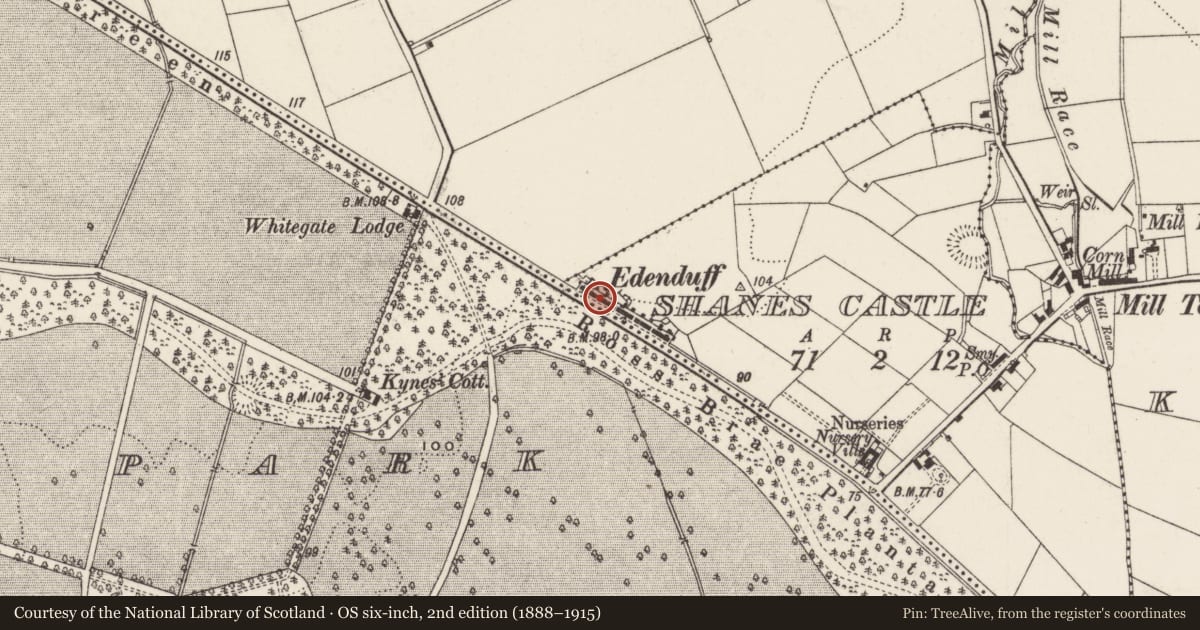 Ordnance Survey six-inch map, 2nd edition (1888–1915) covering the location of 5 Edenduff Terrace, Shane's Castle, Antrim and Newtownabbey, with a pin at the register's coordinates