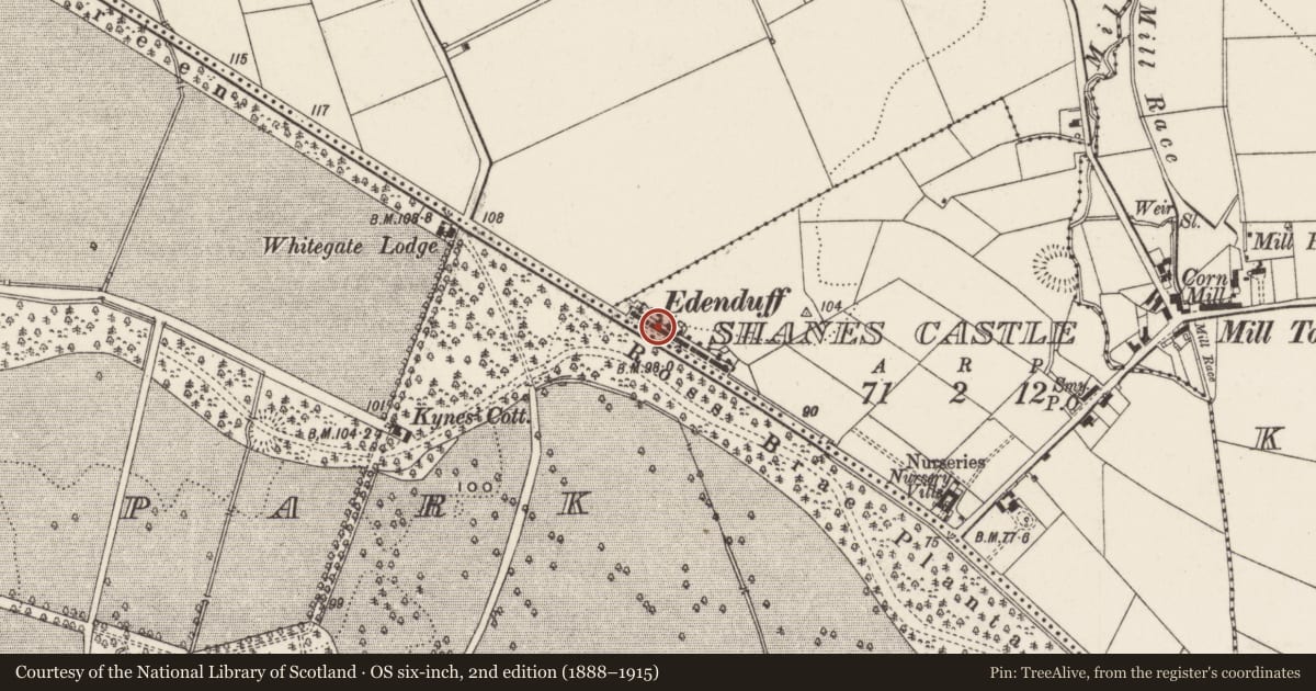 Ordnance Survey six-inch map, 2nd edition (1888–1915) covering the location of 6 Edenduff Terrace, Shane's Castle, Antrim and Newtownabbey, with a pin at the register's coordinates