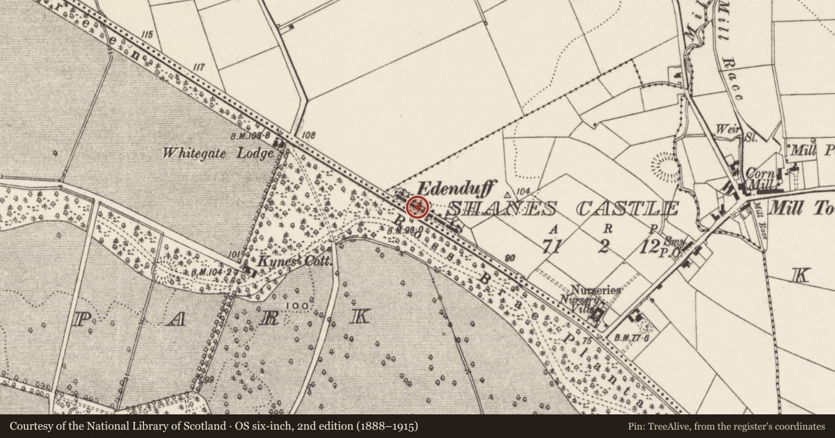 Ordnance Survey six-inch map, 2nd edition (1888–1915) covering the location of 7 & 8 Edenduff Terrace, Shane's Castle, Antrim and Newtownabbey, with a pin at the register's coordinates