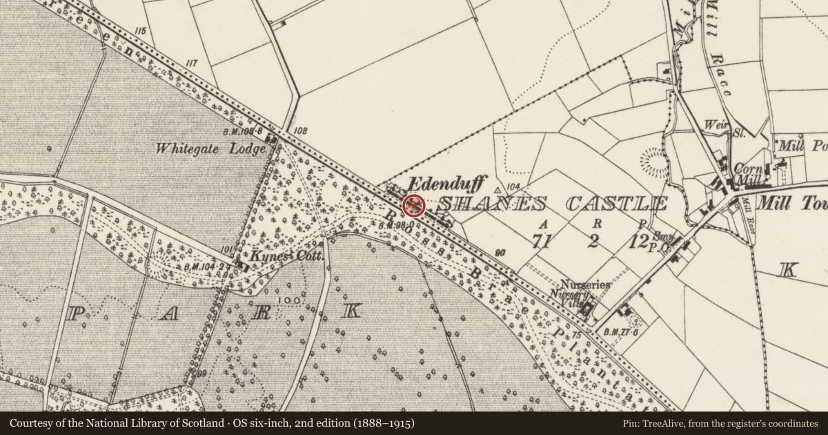 Ordnance Survey six-inch map, 2nd edition (1888–1915) covering the location of 9 Edenduff Terrace, Shane's Castle, Antrim and Newtownabbey, with a pin at the register's coordinates