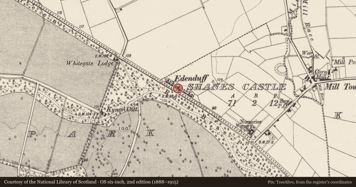 Ordnance Survey six-inch map, 2nd edition (1888–1915) covering the location of 10 Edenduff Terrace, Shane's Castle, Antrim and Newtownabbey, with a pin at the register's coordinates