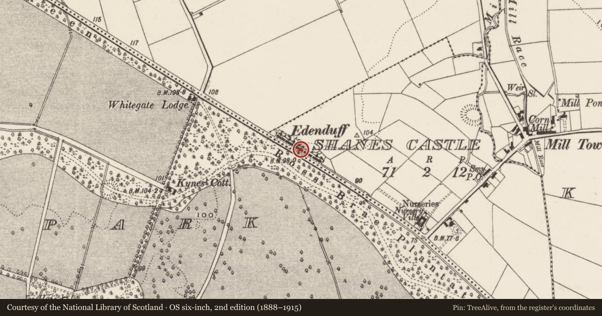 Ordnance Survey six-inch map, 2nd edition (1888–1915) covering the location of 11 & 12 Edenduff Terrace, Shane's Castle, Antrim and Newtownabbey, with a pin at the register's coordinates