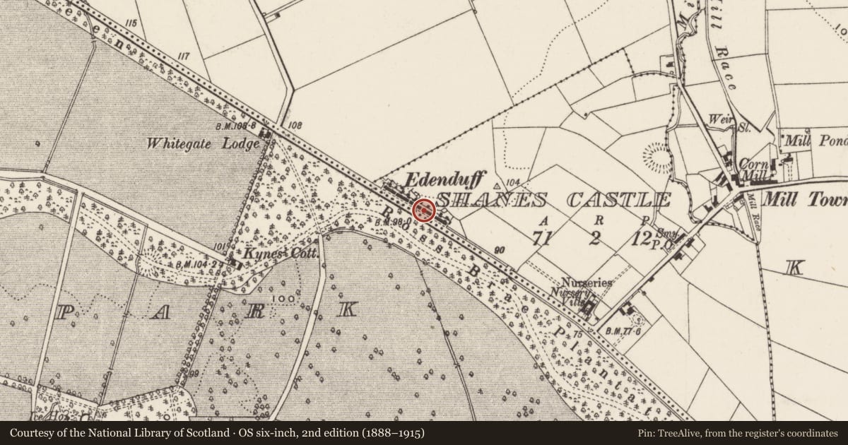 Ordnance Survey six-inch map, 2nd edition (1888–1915) covering the location of 13 -14 Edenduff Terrace, Shane's Castle, Antrim and Newtownabbey, with a pin at the register's coordinates