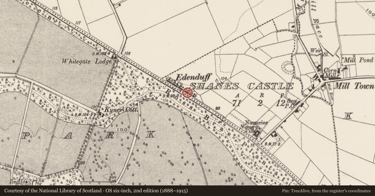 Ordnance Survey six-inch map, 2nd edition (1888–1915) covering the location of 15 - 16 Edenduff Terrace, Shane's Castle, Antrim and Newtownabbey, with a pin at the register's coordinates
