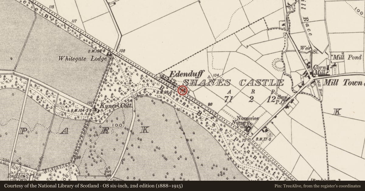 Ordnance Survey six-inch map, 2nd edition (1888–1915) covering the location of 17 Edenduff Terrace, Shane's Castle, Antrim and Newtownabbey, with a pin at the register's coordinates