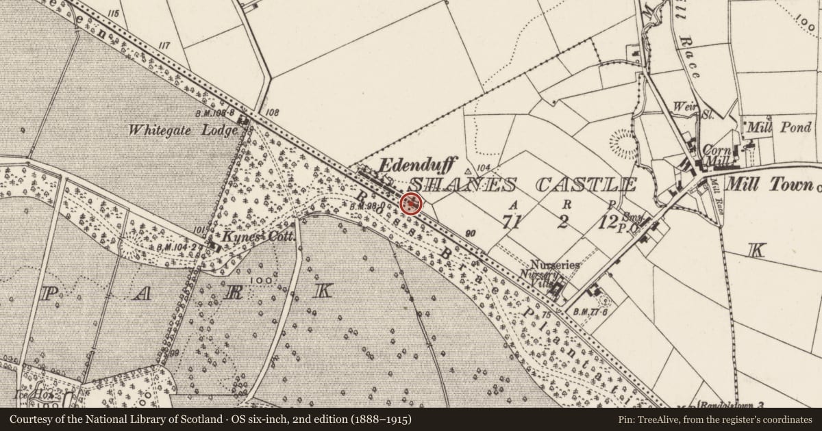 Ordnance Survey six-inch map, 2nd edition (1888–1915) covering the location of 18 Edenduff Terrace, Shane's Castle, Antrim and Newtownabbey, with a pin at the register's coordinates