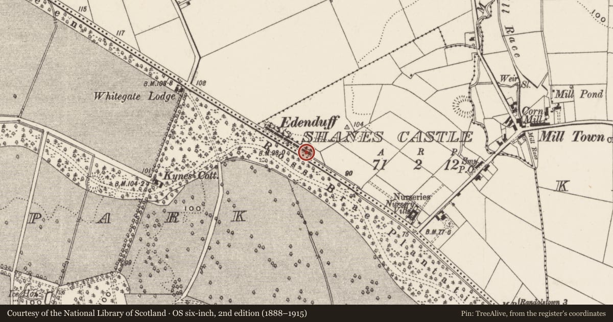 Ordnance Survey six-inch map, 2nd edition (1888–1915) covering the location of 19 Edenduff Terrace, Shane's Castle, Antrim and Newtownabbey, with a pin at the register's coordinates