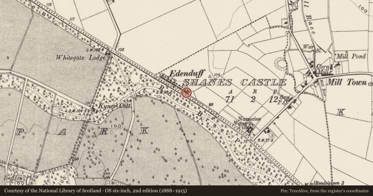 Ordnance Survey six-inch map, 2nd edition (1888–1915) covering the location of 20 Edenduff Terrace, Shane's Castle, Antrim and Newtownabbey, with a pin at the register's coordinates