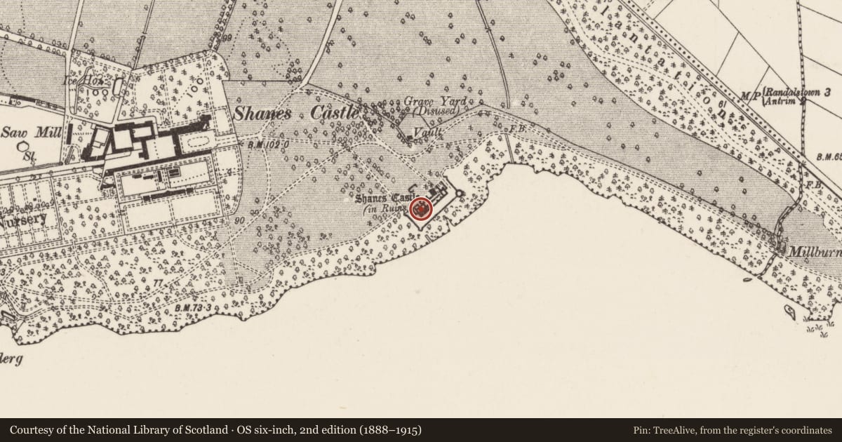 Ordnance Survey six-inch map, 2nd edition (1888–1915) covering the location of Shane's Castle Camellia House, Shane's Castle Park, Antrim and Newtownabbey, with a pin at the register's coordinates