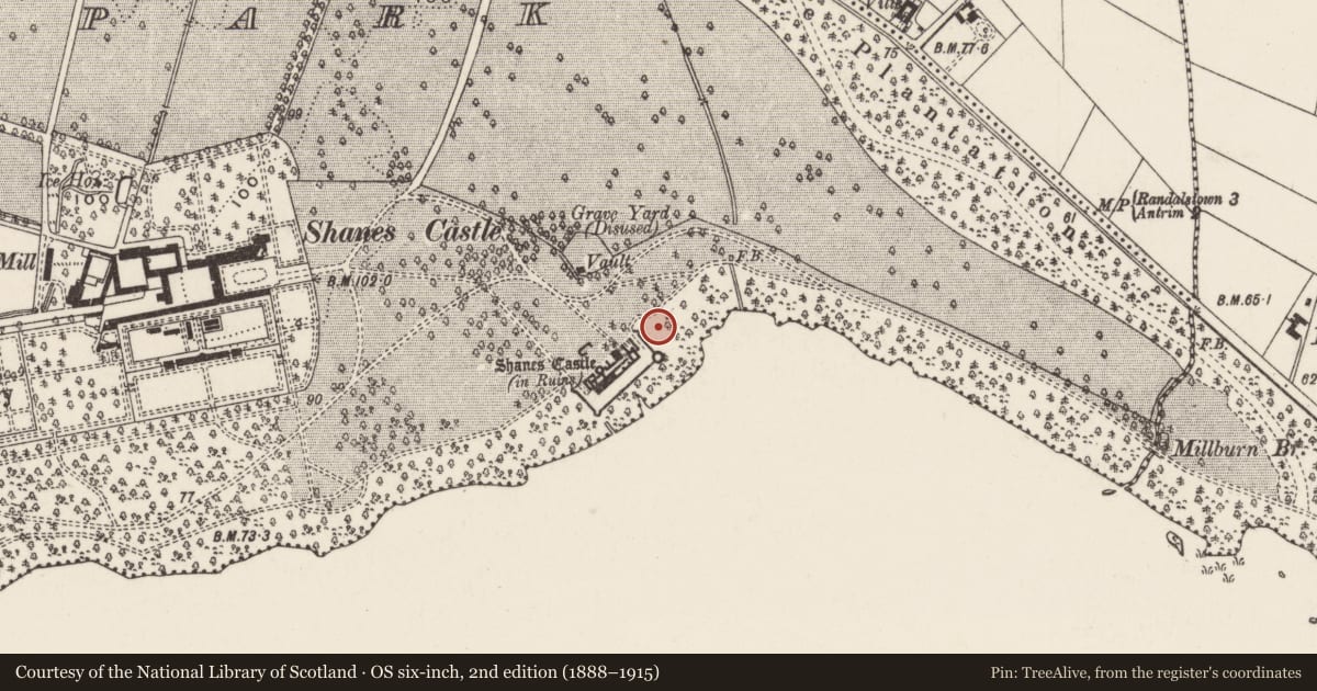 Ordnance Survey six-inch map, 2nd edition (1888–1915) covering the location of Shane's Castle - Nash extension, Shane's Castle Park, Antrim and Newtownabbey, with a pin at the register's coordinates